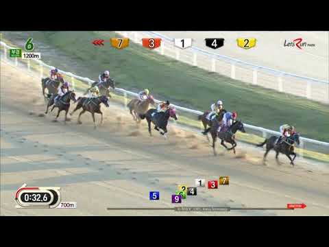 Ace Korea - Busan Racecourse - October 21, 2018