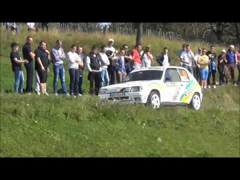 Milan Janjic / Goran Rabasovic - 49. Serbia rally 2016