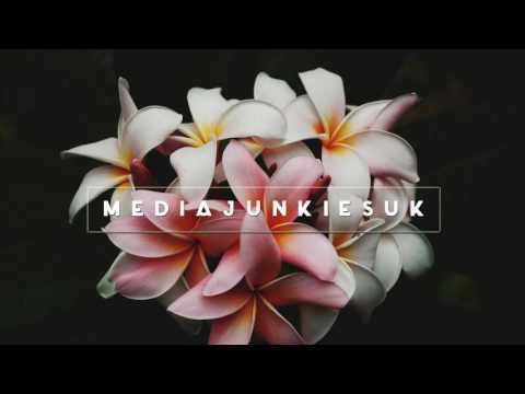 Scott Xylo  - Heaven's Gate (w~SueLily) [ Analogue Eyes, With Digital Minds ]