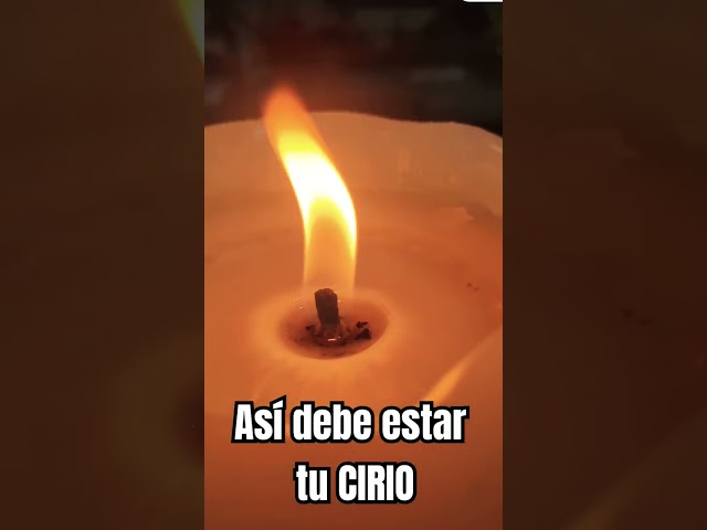 Vídeo relacionado con Cirios procesión paquete 5 cirios de 200 grs medidas: 59 cm x 2,2 cm diámetro