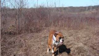 Oregon Hill Walk.wmv