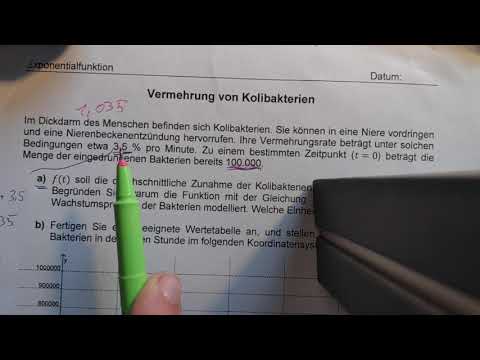 Aus einer Textaufgabe die Exponential Funktion rausschreiben.