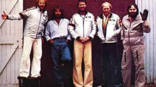 The Beach Boys - Honkin' Down The Highway