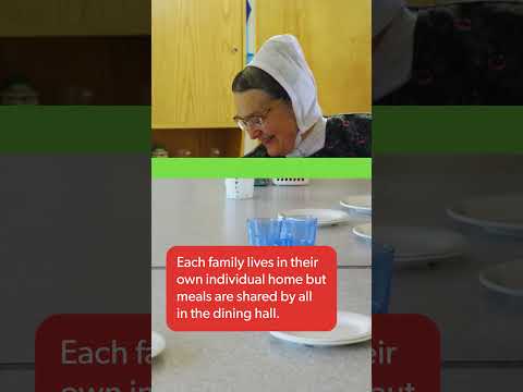 Farming on a Hutterite Colony