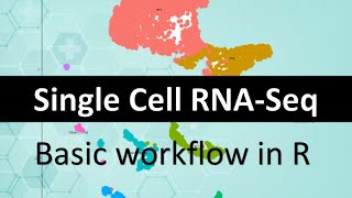 Single Cell RNA-Seq: full workflow in R [ public data to classified UM