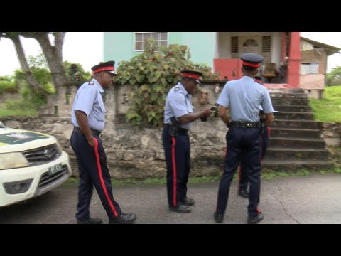 71 year old dies after falling from ackee tree