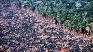 Don´t Fuck Around With Nature