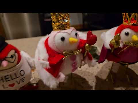 Monday Morning With A Cockatoo 