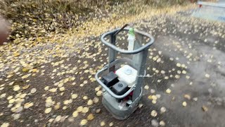 Plaque vibrante Swepac FR 85 | Image 4 - Machineryline