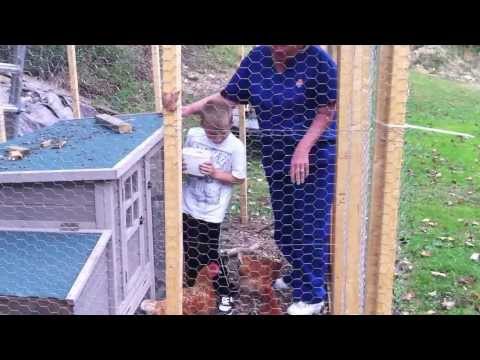 Lucas and Nunny feeding the chickens
