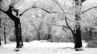 Harold Budd & John Foxx - Adult (photos by Goran Cakmazovic).mp4