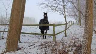 Into the Silence  (Vinter - Jonstrup Vang)