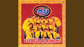 No Se Ha Dado Cuenta Lyrics English Translation