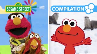 Elmo &amp; Friends Learn About Animals! 2 HOUR Sesame Street Animal Compilation for Kids!