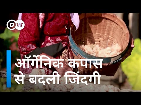 खास कपास से खुशहाल हुई जिंदगी [How to grow organic cotton]
