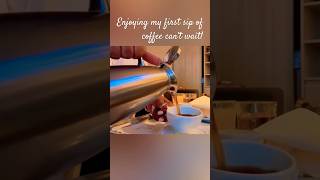 Continental Breakfast & That First Holy Sip of Coffee! #cruise #travel