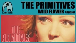 THE PRIMITIVES - Wild Flower [Audio]