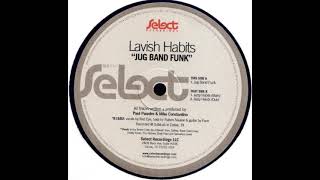 Lavish Habits - Jug Band Funk