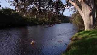 preview picture of video 'The Denmark River from Berridge Park, in the heart of Denmark, Western Australia.'