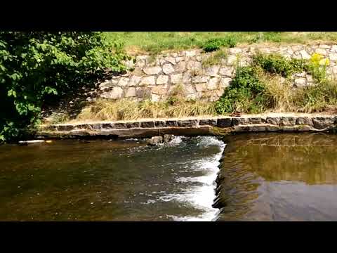 VLOG - Jawor / Nysa Szalona / 04-08-2022