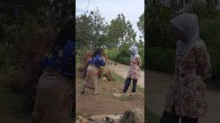 Download lagu nenek nenek berkelahi mp3