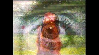 Iggy Pop - Shades (Uncensored Remastered Music Video)