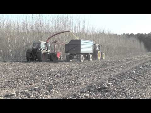 Ernte einer Kurzumtriebsplantage (KUP) mit KUP Hacker (Anbaumähhacker)