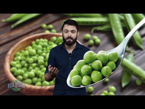 Primeira Lei de Mendel com prof. Henrique Zotarelli