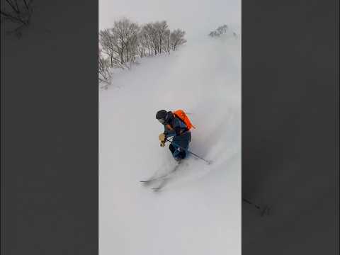 Lotte Arai ski resort Pow day