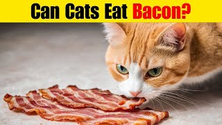 Can Cats Eat Bacon The Surprising Truth Revealed!