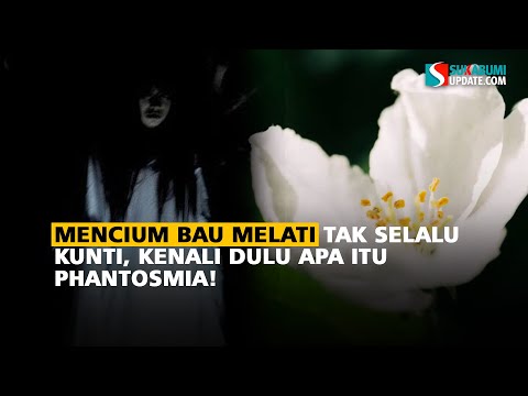 Mencium Bau Melati Tak Selalu Kunti, Kenali Dulu Apa Itu Phantosmia!