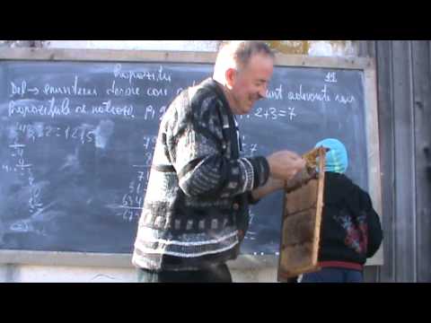 5. Bazele Matematicii: Lectia17 - Notiuni Elementare - clasa3  5/9