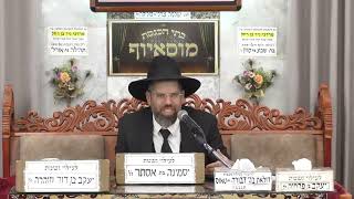 הרב שגיא אוחנה | הלכות | מוסאיוף (בית הכנסת מוסאיוף - ערוץ חדש) - התמונה מוצגת ישירות מתוך אתר האינטרנט יוטיוב. זכויות היוצרים בתמונה שייכות ליוצרה. קישור קרדיט למקור התוכן נמצא בתוך דף הסרטון