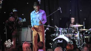 The Jolly Boys "Night Clubbing" (Iggy Pop cover) Live (HD, Official) | Moshcam