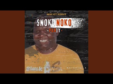 Party (feat. Black S Music, Material & Nellow)