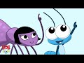 Música A Dona Aranha Bob Zoom