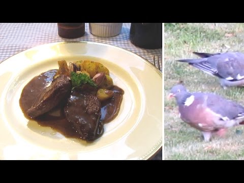 Breast of Pigeon with red wine sauce