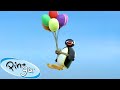 Taking Flight Pingu Official Channel Cartoons For Kids