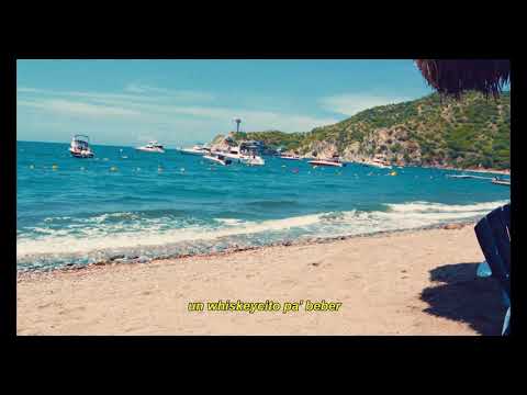 QUE VAMOS A HACER? - Teban, lilfdc, Roxha (Visualizer)