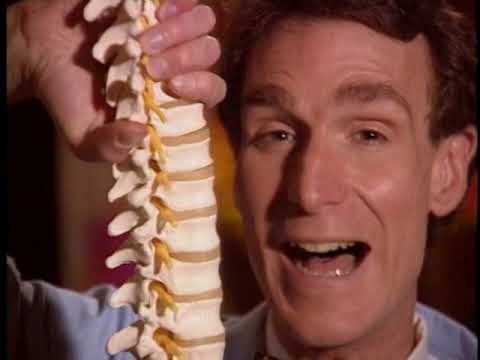 Bill Nye The Science Guy - S02E08 - Bones And Muscles - 480p