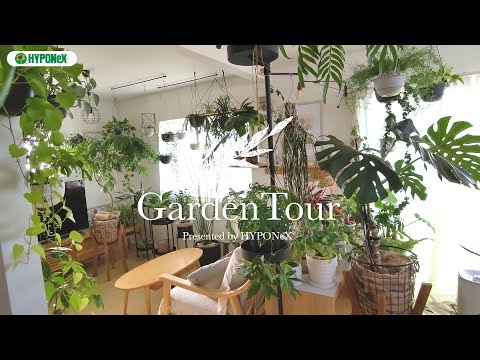 小さな居心地の良いバルコニーのレイアウトみすぼらしいシックな花の要素