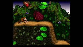 Trinidad and Tobago- SNES Classic Drunk Part 1 (Donkey Kong Country)- SQUEEZE THE WORLD! Gaming