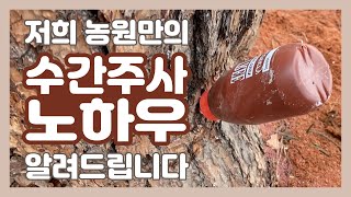 조경수를 살리는 수간주사! 조경수 재테크 하시는 분이라면 꼭 보세요!