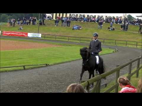 Kronshof Special: Vorentscheidung S1.T1