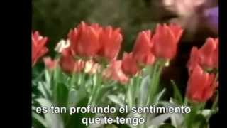 GEORGE HARRISON - Never Get Over You (subtítulos español)