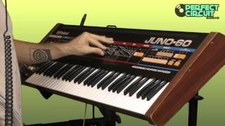 Roland Juno 60 Vintage Analog Synthesizer Overview