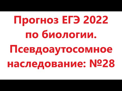 Слив задач ЕГЭ 2022 по биологии. Линия 28. Псевдоаутосомное наследование