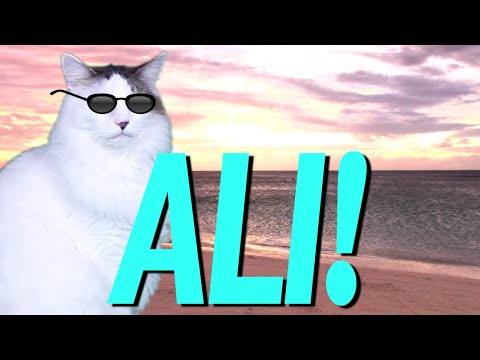 HAPPY BIRTHDAY ALI! - EPIC CAT Happy Birthday Song