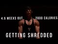 FULL DAY OF EATING AS A 16 YEAR OLD NATURAL BODYBUILDER | 2000 CALORIES | 4.5 Weeks Out | Prep EP.10