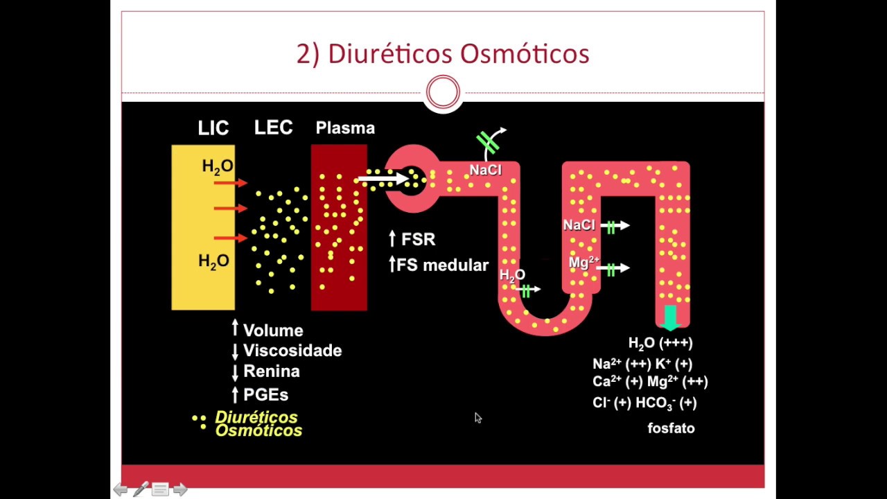 Farmacologia Diuréticos - parte 1